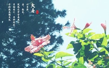2017年7月22日 (六月廿九 星期六)大暑 - 东方旭 - 旭东方的博客欢迎您! 2017年7月22日 (六月廿九 星期六)大暑 - 东方旭 - 旭东方的博客欢迎您!