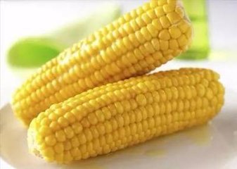 “黄金主食”玉米含有蛋白质 多种维生素和矿物质