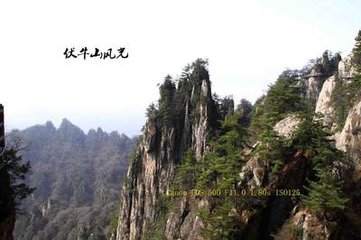 八百里伏牛山