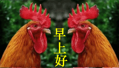 微信表情导入制作技巧——常用微信表情集锦