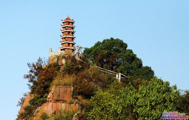 点击放大