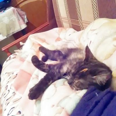 #фифа_из_подвала_хосте #фифа_из_подвала_хосте