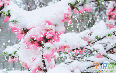 落雪唯美的句子