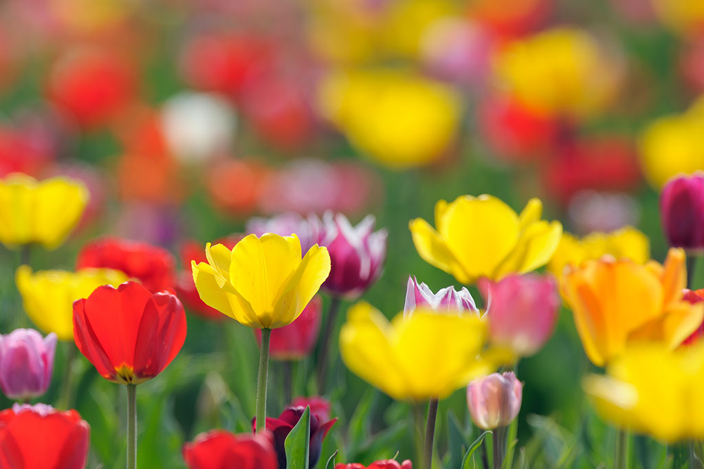 人们对广东快乐十分是最感兴趣的_快乐十分资