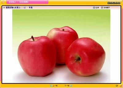 图35:宝宝no1看图识物-29kb