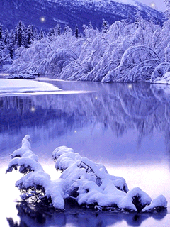 动态自然风景手机墙纸(240*320)-风景壁纸-手机-74kb