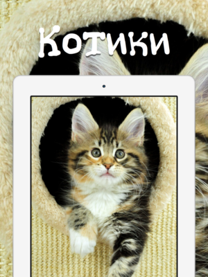 ссные темы для iPhone и iPad скачать бесплатно ссные темы для iPhone и iPad скачать бесплатно