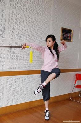 经典武术动作图片