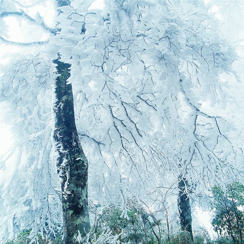 冬天的雨的优美句子 冬天雨天的优美短句