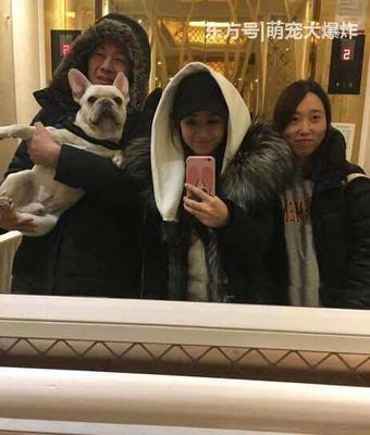 我也追星作文800字_我也追星作文600字_我也追星作文600字