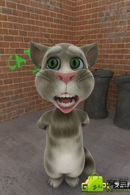 手机会说话动态壁纸