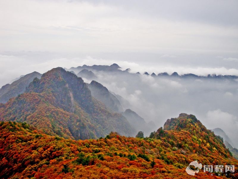 运城一卡通都有哪些景点