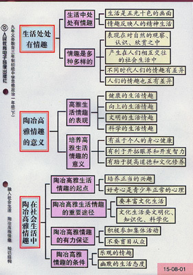 初中八年级上册政治教案_高三政治教案模板范文_初中政治教案模板