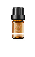 Ricinus Communis Seed Oil, Ricinus Commun Ricinus Communis Seed Oil, Ricinus Commun