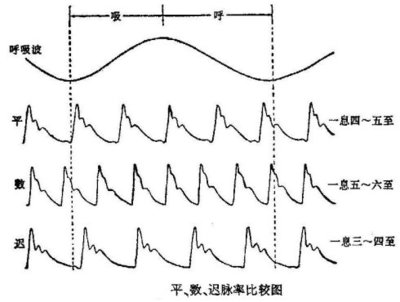 转载 号脉脉法象小解 国学论坛 国学网 中国国学 国学网站