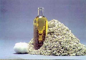 Organic Cotton Seed Oil Organic Cotton Seed Oil