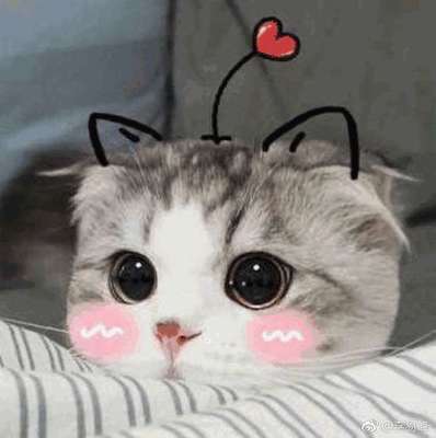 黄黄不知所措兰兰无话可说摇头表情包 绿绿没脸见人了