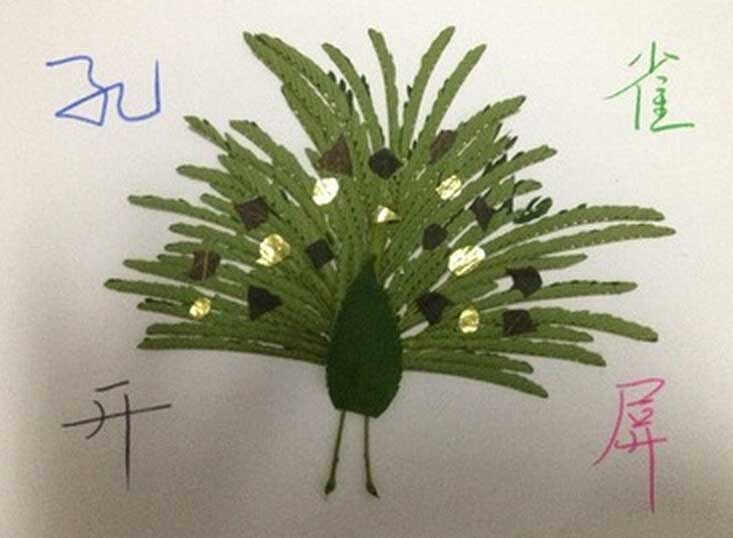 孔雀开屏树叶粘贴画图片