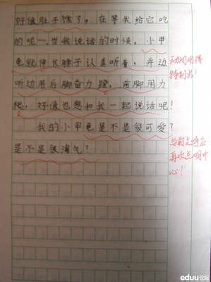 写人与小位置的动物800至900字作文浏阳市高中图片
