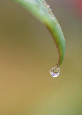 描写秋雨微凉的优美句子