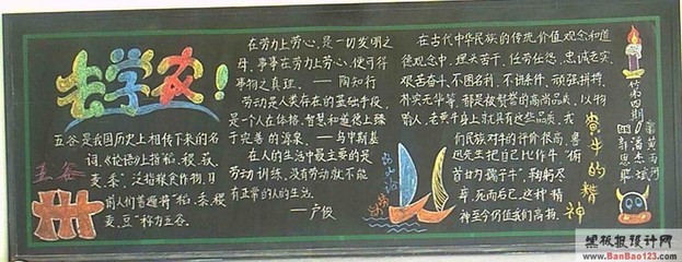 学农实践活动手抄报内容