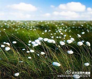 Remember that a persons name is to that. 来自 Remember that a persons name is to that. 来自