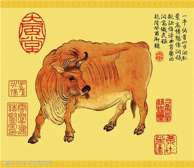 牛文化图片高清_牛文化图片高清图片大全
