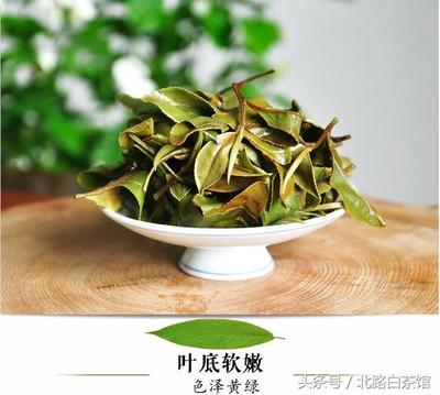 形容白露茶的优美句子