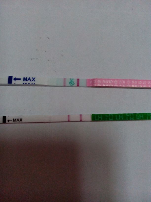 早早孕试纸准吗?同房几天后可以检测得出来?怎样看有没有怀孕?