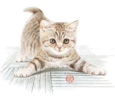 手绘猫咪图片