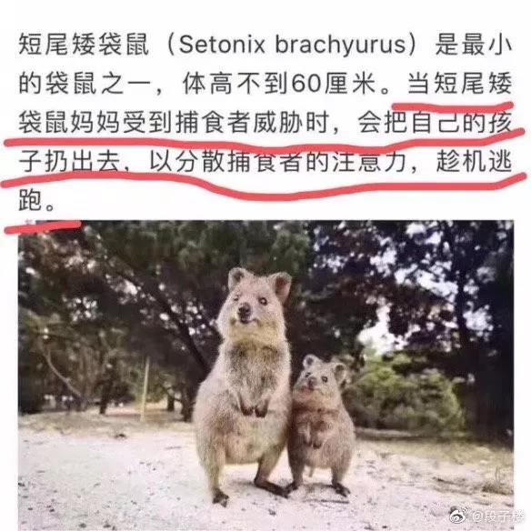 【搞笑GIF】男友说他的纹身是纪念去世的狗,我该信吗?的图片 第19张 搞笑GIF搞笑gif的图片 第19张