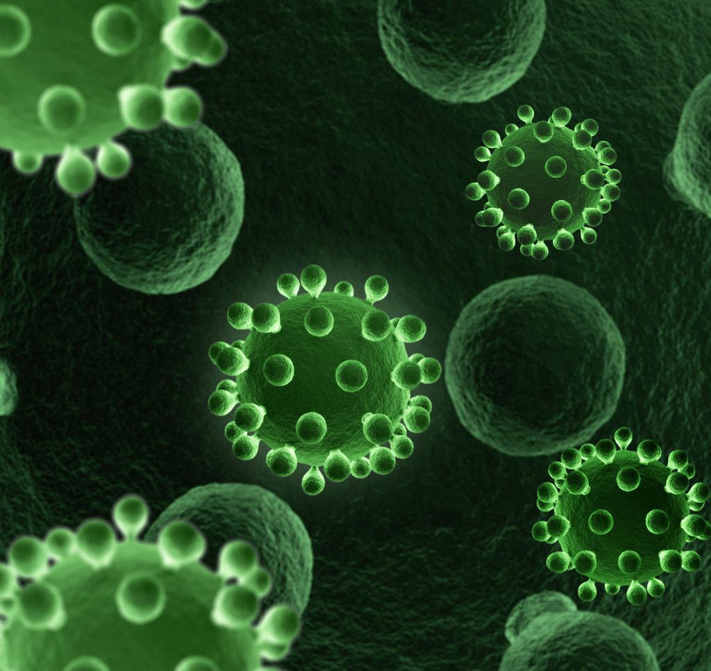 病毒是原核生物吗_家蚕浓核症病毒_病毒是生物吗