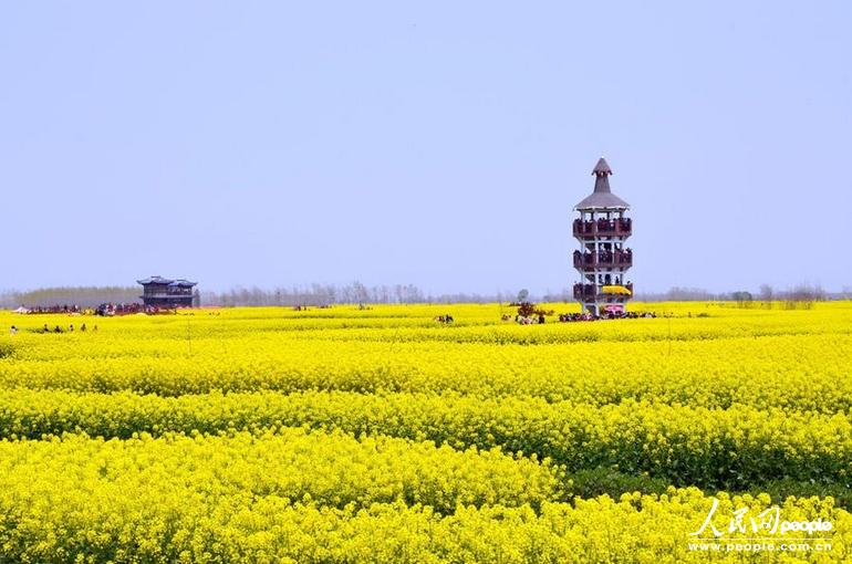 市发展和改革委员会_兴化市发展的怎么样_福建万泰兴化工发展