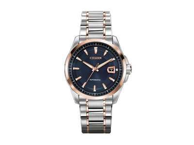 Citizen EcoDrive World Perpetual AT Mens W Citizen EcoDrive World Perpetual AT Mens W