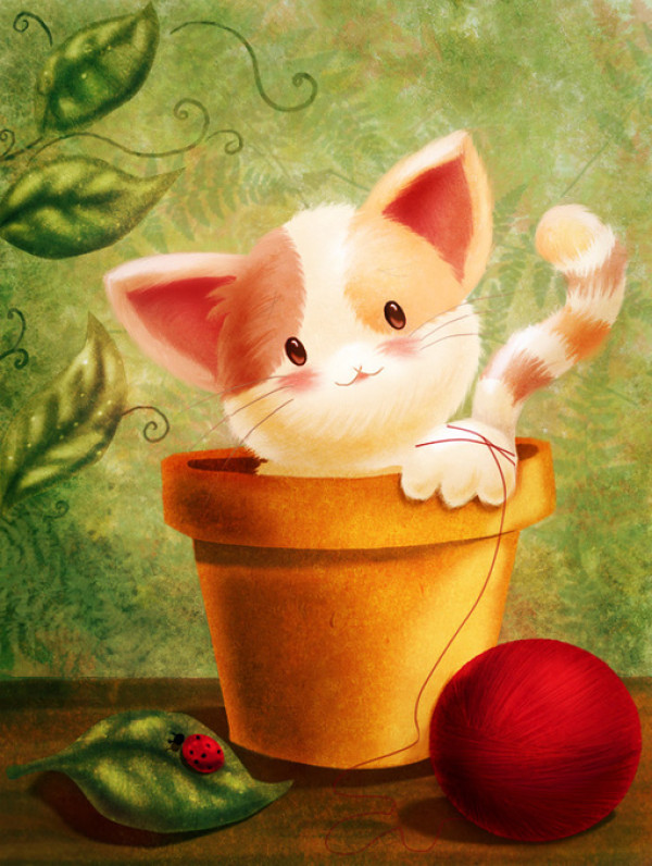 卡通萌猫图片,可爱萌猫图片,可爱卡通萌猫图片_长青网