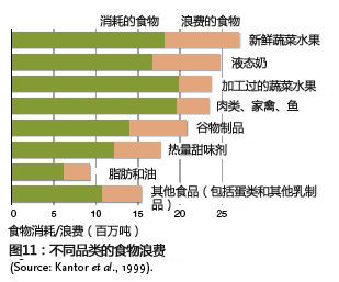 大学生粮食浪费现象调查报告