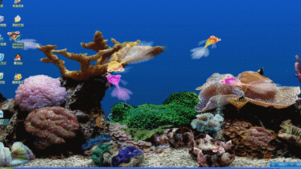 【动态鱼桌面壁纸_动态鱼桌面壁纸图片_动态-564kb