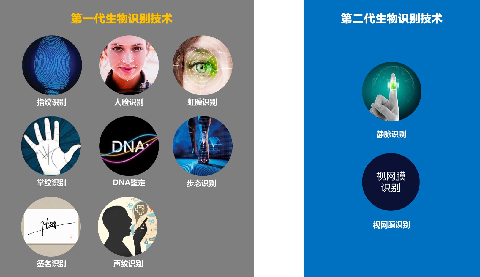 生物情感识别技术 生物识别技术皮肤芯片识别
