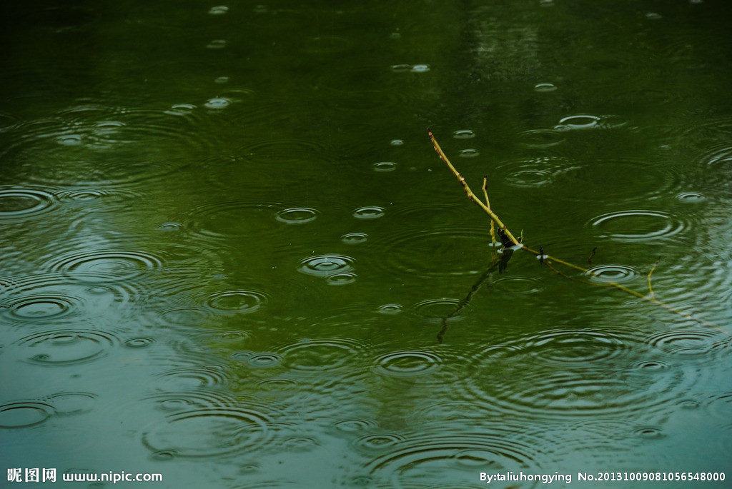 《雨声》在这个奇妙的大自然中,有许许多多的美妙的声音.