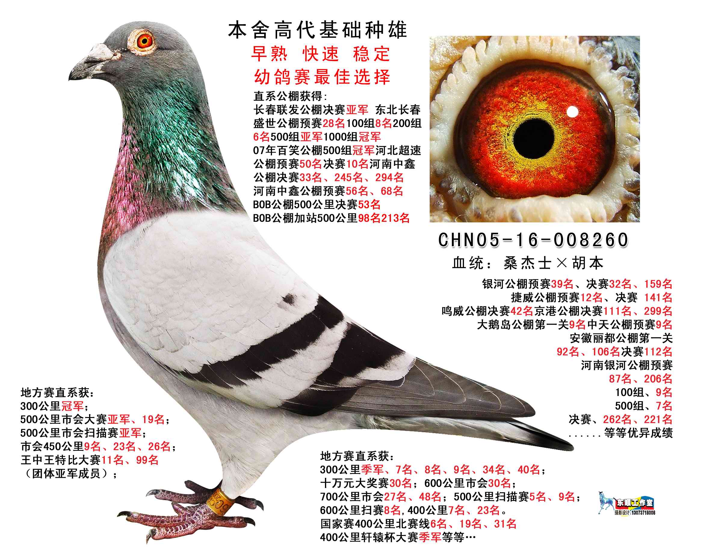 我喂它海豚和绿豆,它连看也不看?乌鲁木齐玉米v海豚俱乐部跆拳道图片