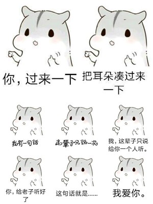 情侣之间可以使用的仓鼠表情包 喜欢dd 接着更新 没有喜欢的吗 老公篇