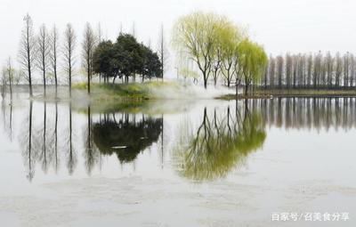 形容景色优美树木茂密的句子