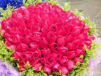 最光荣的劳动者